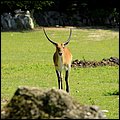 Hellbrunn035.jpg