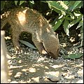 Hellbrunn037.jpg