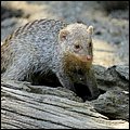 Hellbrunn038.jpg