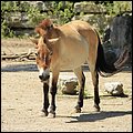 Hellbrunn040.jpg