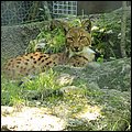 Hellbrunn041.jpg