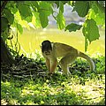 Hellbrunn043.jpg