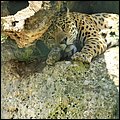 Hellbrunn044.jpg