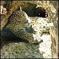 Hellbrunn045.jpg