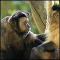 Hellbrunn046.jpg