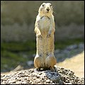 Hellbrunn048.jpg