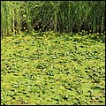 Hellbrunn049.jpg