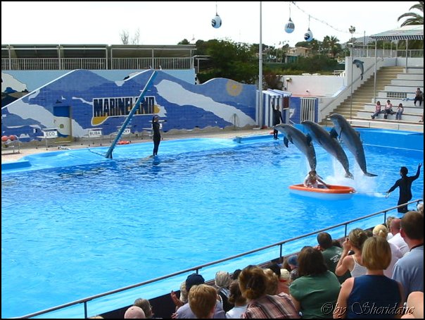 Marineland002.jpg
