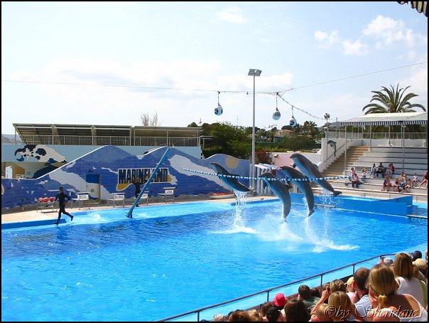 Marineland003.jpg