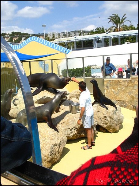 Marineland004.jpg