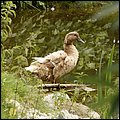 Oberreith039.jpg