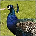 Oberreith045.jpg