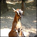 NaturaViva003.jpg