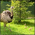 NaturaViva007.jpg