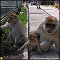 Ebbs004.jpg