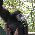 Ebbs006.jpg