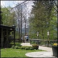 Ebbs008.jpg