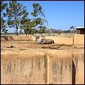 Safaripark002.jpg