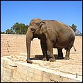 Safaripark006.jpg