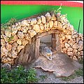 Safaripark008.jpg