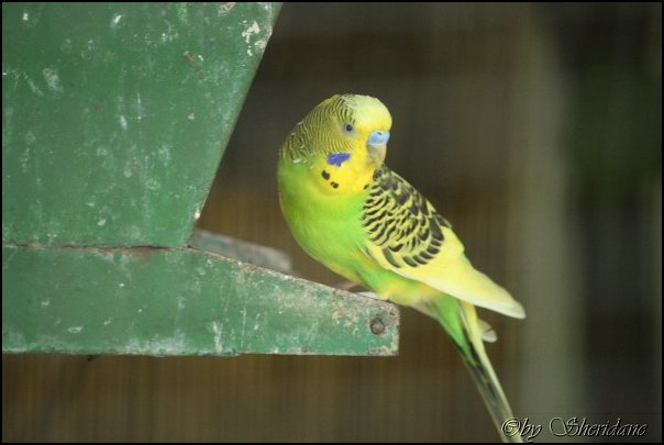 Poing032.jpg