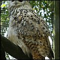 Poing006.jpg