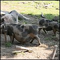 Poing014.jpg
