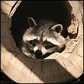 Poing023.jpg