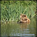 Poing029.jpg