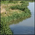Poing030.jpg