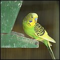 Poing032.jpg