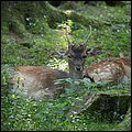 Poing038.jpg