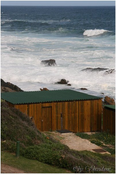 Suedafrika284.jpg