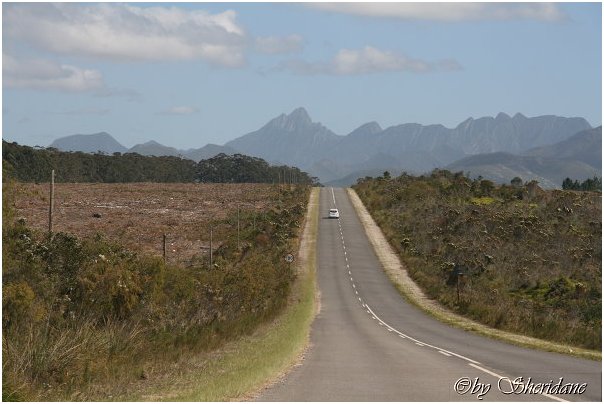 Suedafrika292.jpg