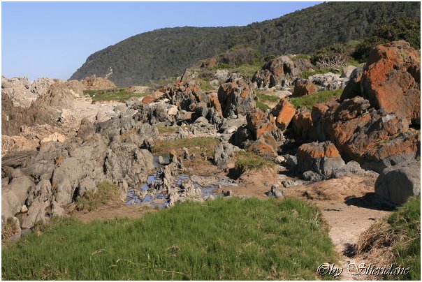 Suedafrika298.jpg