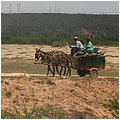 Suedafrika275.jpg