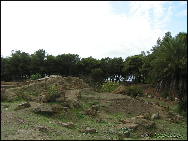 Tunesien025.jpg
