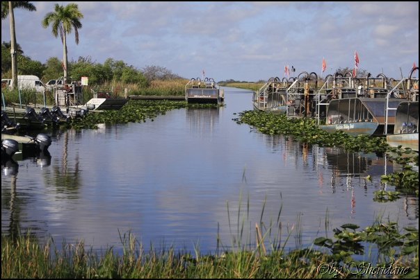 Everglades001.jpg