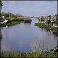 Everglades001.jpg