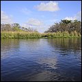 Everglades002.jpg
