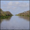 Everglades004.jpg