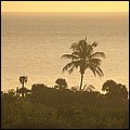 FortLauderdale015.jpg