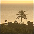 FortLauderdale015.jpg