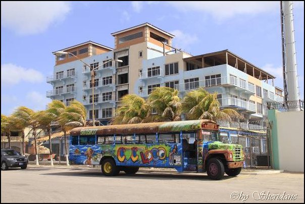 Aruba003.jpg