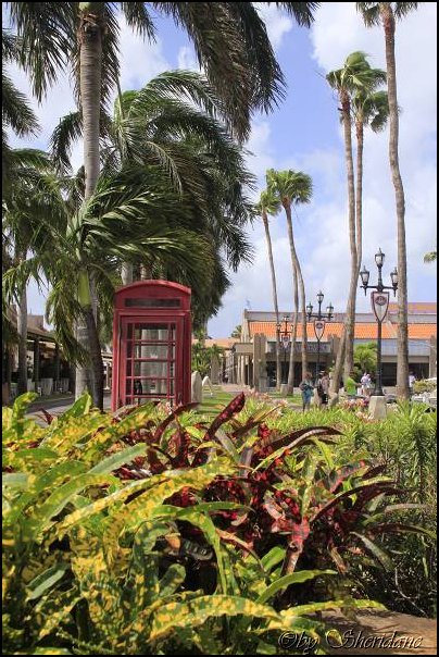 Aruba008.jpg