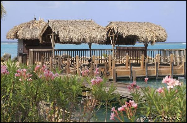 Aruba012.jpg