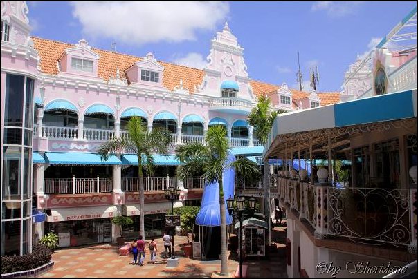 Aruba017.jpg