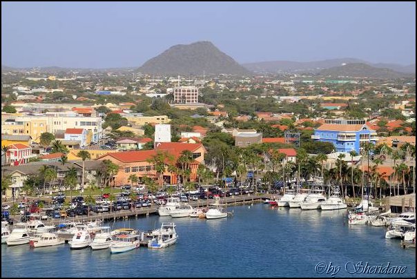Aruba019.jpg