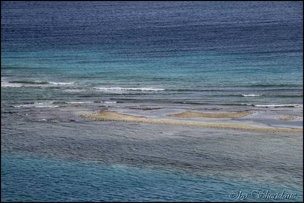Aruba021.jpg
