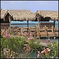Aruba012.jpg